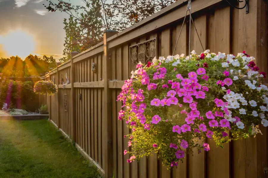 Fence Installation